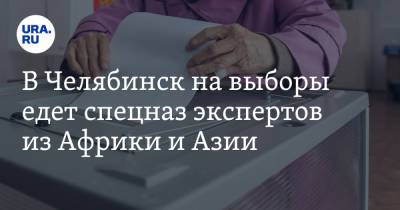 В Челябинск на выборы едет спецназ экспертов из Африки и Азии - ura.news - Челябинск - Камерун