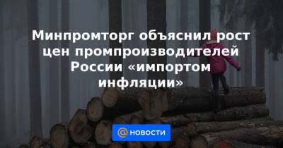 Минпромторг объяснил рост цен промпроизводителей России «импортом инфляции» - news.mail.ru - Москва - Россия