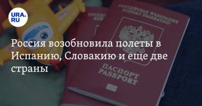 Россия возобновила полеты в Испанию, Словакию и еще две страны - ura.news - Москва - Россия - Санкт-Петербург - Казахстан - Ирак - Венгрия - Мурманск - Испания - Магадан - Мадрид - Словакия - Чита - Катар - Братислава - Псков - Кения - Найроби