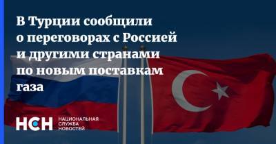 В Турции сообщили о переговорах с Россией и другими странами по новым поставкам газа - nsn.fm - Россия - Турция - Азербайджан