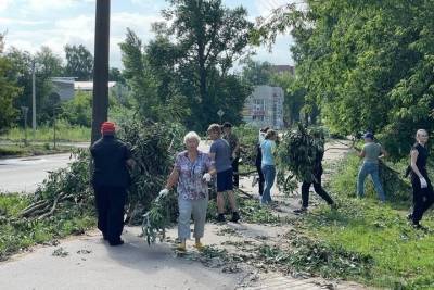 Вместо сломанных ураганом деревьев в парке усадьбы Софьи Ковалевской высадят новые - mk-pskov.ru - Москва - Псков - район Великолукский