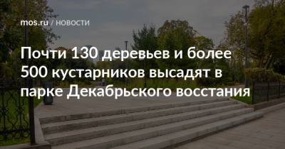 Петр Бирюков - Почти 130 деревьев и более 500 кустарников высадят в парке Декабрьского восстания - mos.ru - Москва - Благоустройство