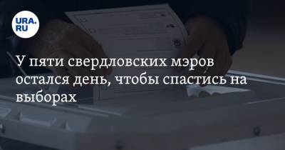 Евгений Куйвашев - У пяти свердловских мэров остался день, чтобы спастись на выборах - ura.news
