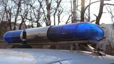 Полицейские нашли тело пропавшего 13-летнего подростка в Хакасии - inforeactor.ru - Москва - Россия - респ. Хакасия