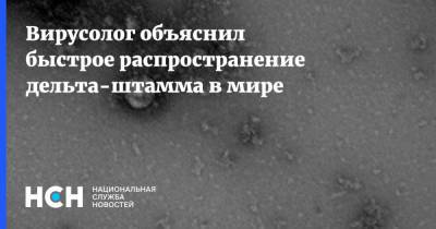 Анатолий Альтштейн - Вирусолог объяснил быстрое распространение дельта-штамма в мире - nsn.fm - Москва - Россия - США