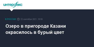 Озеро в пригороде Казани окрасилось в бурый цвет - interfax.ru - Москва - респ. Татарстан - Казань - Салмачи