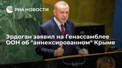 Дмитрий Песков - Тайип Эрдоган - Эрдоган: Турция не признает Крым российским - ria.ru - Россия - Украина - Крым - Турция - Анкара