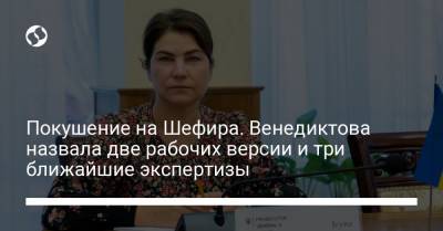 Сергей Шефир - Ирина Венедиктова - Покушение на Шефира. Венедиктова назвала две рабочих версии и три ближайшие экспертизы - liga.net - Украина
