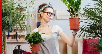 Самые проблемные: 8 комнатных растений, которые в дом лучше не приносить - profile.ru