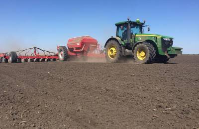 В Dnipro Agro Group отсеяли рапс, собирают подсолнечник - agroportal.ua - Украина