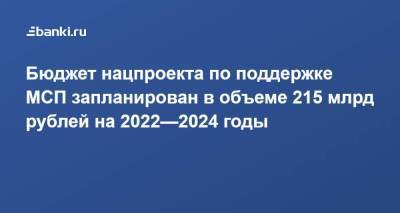 Бюджет нацпроекта по поддержке МСП запланирован в объеме 215 млрд рублей на 2022—2024 годы - smartmoney.one