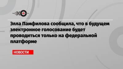 Элла Памфилова - Элла Памфилова сообщила, что в будущем электронное голосование будет проводиться только на федеральной платформе - echo.msk.ru - Москва