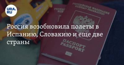 Россия возобновила полеты в Испанию, Словакию и еще две страны - koronavirus.center - Москва - Россия - Казахстан - Ирак - Венгрия - Испания - Мадрид - Словакия - Катар - Кения