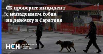 СК проверит инцидент с нападением собак на девочку в Саратове - nsn.fm - Россия - Саратовская обл. - Саратов - Нападение