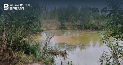 Экологи изучат пробы воды из озера в Салмачах, которое окрасилось в красный цвет - realnoevremya.ru - респ. Татарстан - Экология