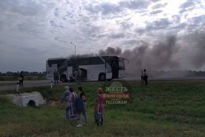 Белгородская прокуратура начала проверку после возгорания автобуса, перевозившего детей с ОВЗ - mk.ru - Белгородская обл. - Белгород