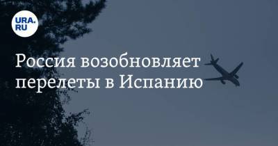 Россия возобновляет перелеты в Испанию - koronavirus.center - Россия - Египет - Белоруссия - Турция - Ирак - Мурманск - Испания - Магадан - Словакия - Чита - Псков - Кения - с. 21 Сентября