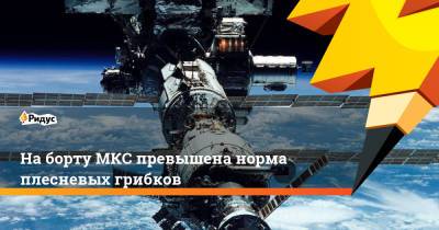 На борту МКС превышена норма плесневых грибков - ridus.ru - Россия