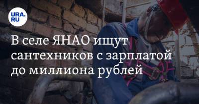 В селе ЯНАО ищут сантехников с зарплатой до миллиона рублей - ura.news - окр. Янао - район Ямальский