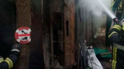 В Гидропарке произошел пожар, спасатели обнаружили погибшего - ru.slovoidilo.ua - Украина - Киев - Львов