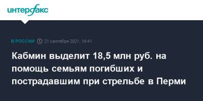 Михаил Мишустин - Кабмин выделит 18,5 млн руб. на помощь семьям погибших и пострадавшим при стрельбе в Перми - interfax.ru - Москва - Россия - Пермь