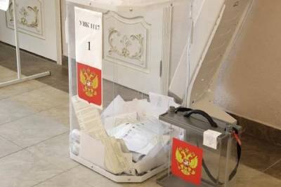 В Белгородской области проголосовало больше 535 тысяч человек - mk.ru
