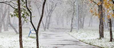 Наталья Диденко - Синоптики предупреждают о первом снеге: когда готовиться - w-n.com.ua