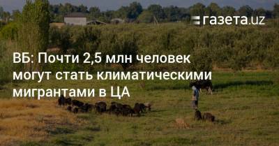 ВБ: Почти 2,5 млн человек могут стать климатическими мигрантами в ЦА - gazeta.uz - Узбекистан