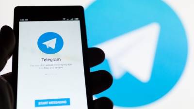 Павел Дуров - Telegram решил соблюдать «день тишины» во время выборов в Госдуму - 5-tv.ru - Россия