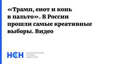 Алексей Венедиктов - «Трамп, енот и конь в пальто». В России прошли самые креативные выборы. Видео - nsn.fm - Москва - Россия