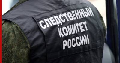 Ирина Волк - Пропавшую три месяца назад под Орлом девятилетнюю девочку нашли погибшей - profile.ru - Орловская обл.