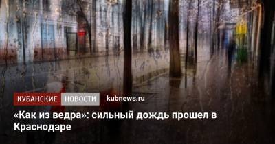 «Как из ведра»: сильный дождь прошел в Краснодаре - kubnews.ru - Краснодарский край - Краснодар