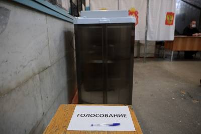 В Челябинске снова аннулировали «надомные» бюллетени - znak.com - Челябинск - район Ленинский