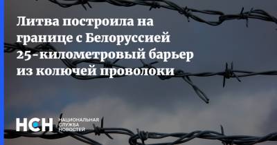 Ингрида Шимоните - Агне Билотайте - Литва построила на границе с Белоруссией 25-километровый барьер из колючей проволоки - nsn.fm - Белоруссия - Литва