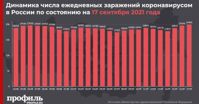 За сутки в России выявили 19905 новых случаев заражения COVID-19 - profile.ru - Москва - Россия - Санкт-Петербург - Московская обл.