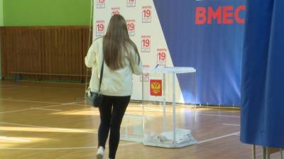 Стала известна предварительная явка воронежцев на выборах за три дня - vestivrn.ru - Россия - Воронежская обл.