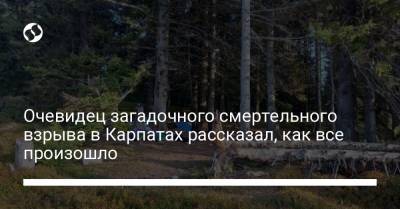 Очевидец загадочного смертельного взрыва в Карпатах рассказал, как все произошло - liga.net - Украина