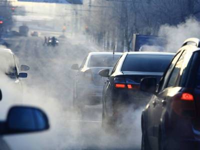 Медики: В Киеве растет количество аллергиков, причина – в выбросах автомобилей - gordonua.com - Украина - Киев - Экология
