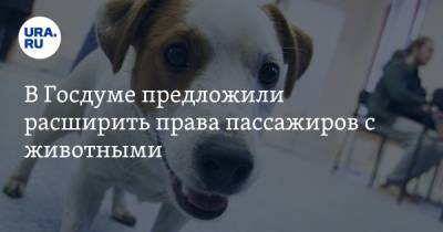 Владимир Бурматов - В Госдуме предложили расширить права пассажиров с животными - ura.news - Экология