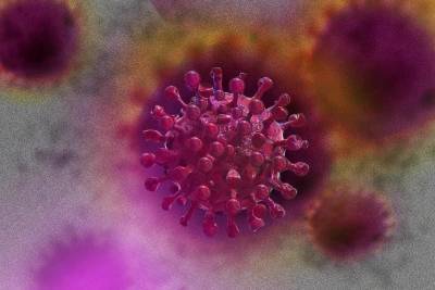 Врач рассказал, у кого может не возникнуть антител к коронавирусу и мира - koronavirus.center