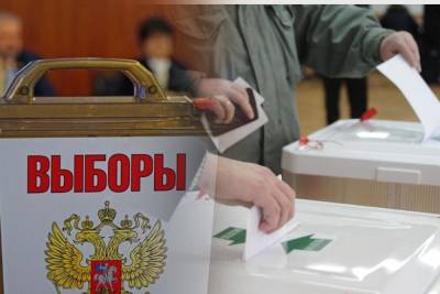 Председатель краевой Общественной палаты оценила ход выборов на Кубани - kuban.mk.ru - Краснодарский край - Краснодар
