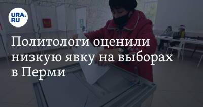 Политологи оценили низкую явку на выборах в Перми - ura.news - Пермь - Пермский край