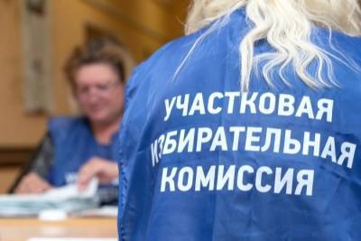 Явка на выборах в Ингушетии выросла до 78% - interfax-russia.ru - респ. Ингушетия