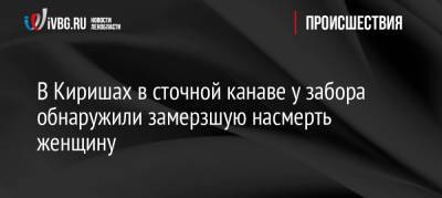 В Киришах в сточной канаве у забора обнаружили замерзшую насмерть женщину - ivbg.ru - Украина - Ленобласть