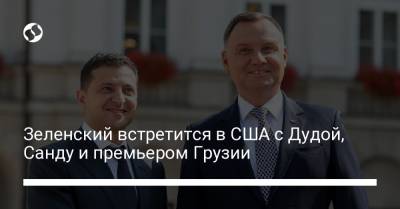 Реджеп Эрдоган - Гитанас Науседа - Антониу Гутерриш - Майя Санду - Анджей Дудой - Ираклий Гарибашвили - Зеленский встретится в США с Дудой, Санду и премьером Грузии - liga.net - США - Украина - Молдавия - Грузия - Турция - Эстония - Бразилия - Польша - Литва - Нью-Йорк - Нью-Йорк - Латвия - Черногория