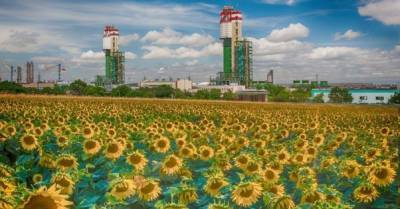 Аномальный скачок цен на газ: в "Агро Газ Трейдинг" объяснили, почему остановился ОПЗ - delo.ua - Украина - Одесса
