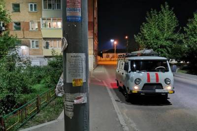 В Улан-Удэ от незаконной рекламы очистили более 5 тысяч опор - ulan.mk.ru - Улан-Удэ