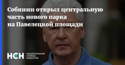 Сергей Собянин - Собянин открыл центральную часть нового парка на Павелецкой площади - nsn.fm - Москва - Благоустройство