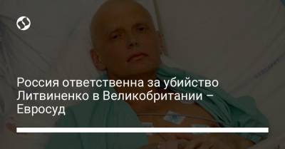 Андрей Луговой - Россия ответственна за убийство Литвиненко в Великобритании – Евросуд - liga.net - Россия - Украина - Англия