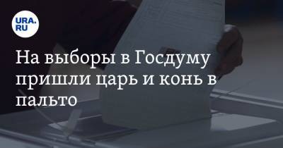 Янина Павленко - На выборы в Госдуму пришли царь и конь в пальто. Видео - ura.news - Россия - Красноярск